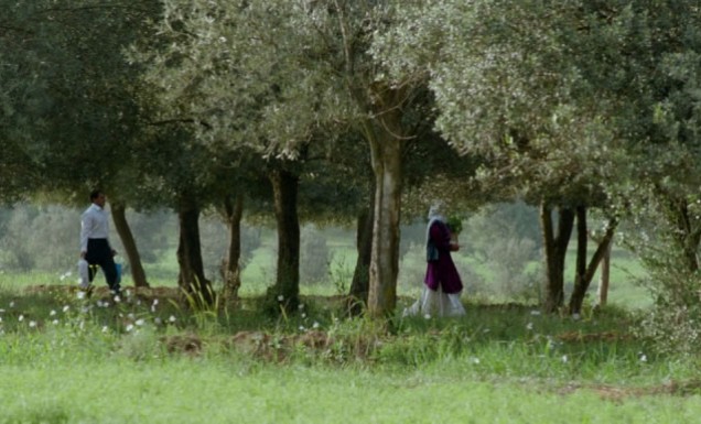 Through the Olive Trees