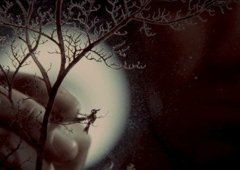 Restauracije: Univerzumi likovnosti