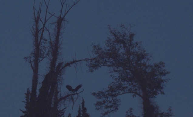 Mjesta koja ćemo disati